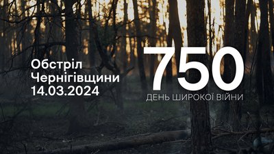 FPV-дрон, БпЛА, міномети та ствольна артилерія: росіяни обстріляли вісім прикордонних сіл на Чернігівщині