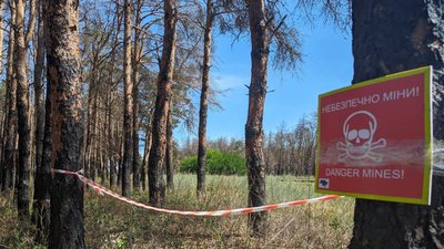 На Миколаївщині знищили два артилерійських снаряди На Миколаївщині знищили два артилерійських снаряди