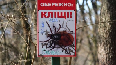 кліщі хрущі кліщі хрущі