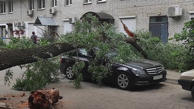 На проспекті Гагаріна у Харкові дерево впало на автомобіль і перекрило дорогу На проспекті Гагаріна у Харкові дерево впало на автомобіль і перекрило дорогу