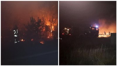 Масштабні пожежі на Луганщині: троє людей загинули, охоплені полум‘ям понад 9300 га