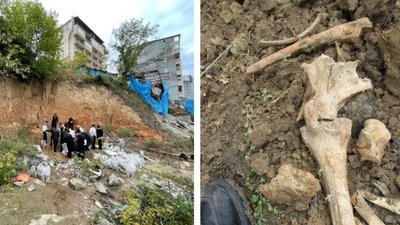 У РАЙОНІ ПАЛОМНИЦТВА РОЗКОПАЛИ ЛЮДСЬКІ КІСТКИ У РАЙОНІ ПАЛОМНИЦТВА РОЗКОПАЛИ ЛЮДСЬКІ КІСТКИ