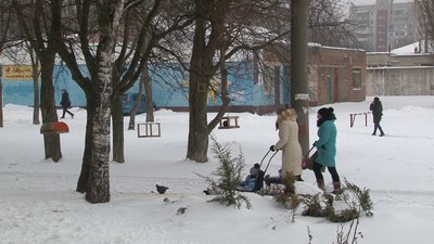 Котам – будиночок, дітям – інструменти: черкаські школярі реалізували благодійний проєкт Котам – будиночок, дітям – інструменти: черкаські школярі реалізували благодійний проєкт