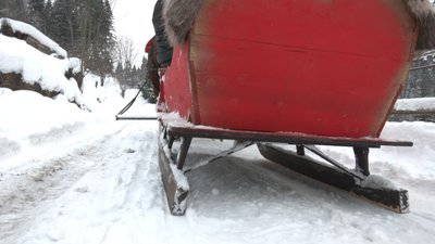 Сани майструють з твердих порід дерев Сани майструють з твердих порід дерев
