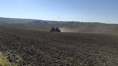 В Україні завершують сівбу озимих зернових. Чого посіяли найбільше
