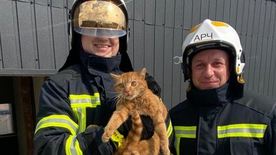 В Івано-Франківську з даху багатоповерхівки рятувальники зняли кошеня