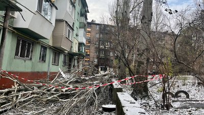Повалене дерево у Запоріжжі, 27 листопада 2023 року Повалене дерево у Запоріжжі, 27 листопада 2023 року