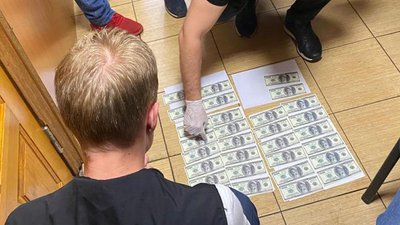 Тисячі доларів за мотузковий парк. У Києві затримали керівників двох природних зон