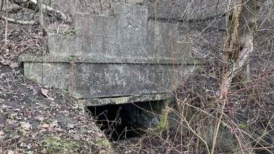 "Глибина дуже велика": що кажуть жителі про провалля у лісі на Тернопільщині "Глибина дуже велика": що кажуть жителі про провалля у лісі на Тернопільщині