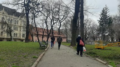 У Львові обрали міських садівників. Що вони робитимуть У Львові обрали міських садівників. Що вони робитимуть