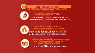 На Полтавщині пожежна небезпека: які заборони На Полтавщині пожежна небезпека: які заборони