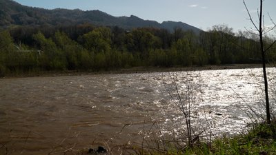 Річка Черемош, село Розтоки Річка Черемош, село Розтоки