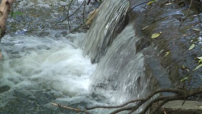 У Житомирі роблять лабораторні дослідження води у Тетереві через аварію на каналізаційній станції У Житомирі роблять лабораторні дослідження води у Тетереві через аварію на каналізаційній станції