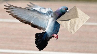 Діджиталізація по-запорізьки: в судах закінчилися марки, повістки слатимуть SMS-ками
