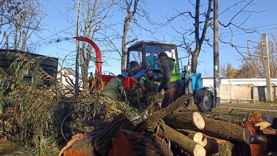 Наслідки негоди у Житомирі: працівники "Зеленбуду" прибирають повалені дерева Наслідки негоди у Житомирі: працівники "Зеленбуду" прибирають повалені дерева