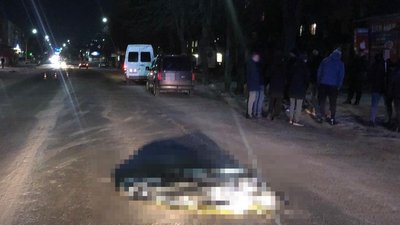 На Житомирщині у ДТП загинула жінка. Поліція встановлює особу загиблої На Житомирщині у ДТП загинула жінка. Поліція встановлює особу загиблої