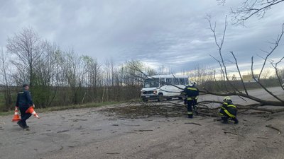 Рятувальники розчищають дороги від повалених дерев