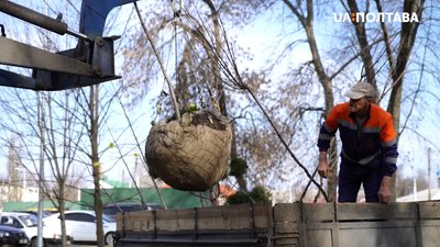У полтавських парках почали висаджувати дерева