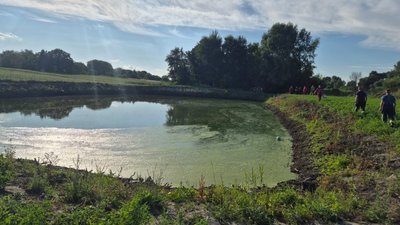 дівчинка потонула через мʼяч