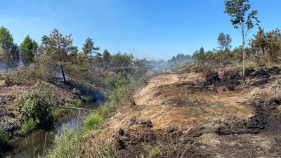 Пожежа торфовища на Волині, горить торф'яник у Луцькому районі
