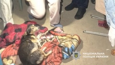 Собака, який постраждав унаслідок жорстокого поводження на Одещині