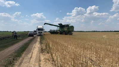 Збирають врожай під обстрілами. Як проходять жнива у Криворізькому районі Збирають врожай під обстрілами. Як проходять жнива у Криворізькому районі