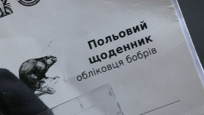 На третину менше: на Харківщині завершили підрахунок бобрів На третину менше: на Харківщині завершили підрахунок бобрів