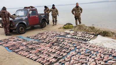 Покинули улов і втікли: на Черкащині рибпатруль ловив браконьєрів Покинули улов і втікли: на Черкащині рибпатруль ловив браконьєрів
