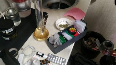 конопля тут