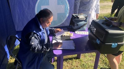 У Полтаві відновили безплатну вакцинацію тварин від сказу: де робитимуть щеплення У Полтаві відновили безплатну вакцинацію тварин від сказу: де робитимуть щеплення