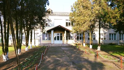 Одна зі шкіл на Закарпатті перемогла у національному конкурсі "Вакциновані й відкриті"