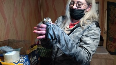 "Лапкин дім": у квартири жительки Миколаєва мешкають 33 тварини "Лапкин дім": у квартири жительки Миколаєва мешкають 33 тварини