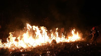 У Мукачівському районі під час пожежі сухостою жінка отримала опіки