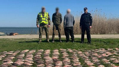 Незаконний вилов риби, Дністровський лиман, браконьєрство