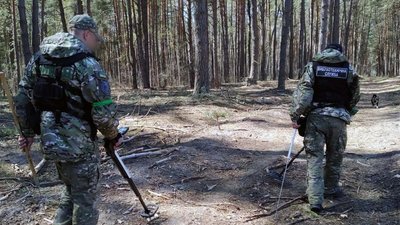 Розміновували ліс, щоб дістатися до місця злочину: на Ніжинщині розкрили подвійне вбивство