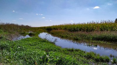 На водогоні біля Кропивницького місяць не ліквідовують порив