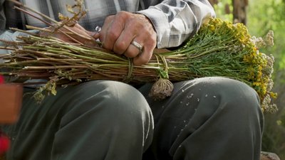 1500 букетів з польових квітів: історія 71-річного майстра з Рівного 1500 букетів з польових квітів: історія 71-річного майстра з Рівного