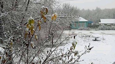 Перший сніг на Сумщині: фоторепортаж