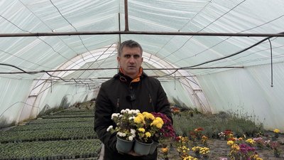 Олександр Дудко вирощує квіти з 2013 року