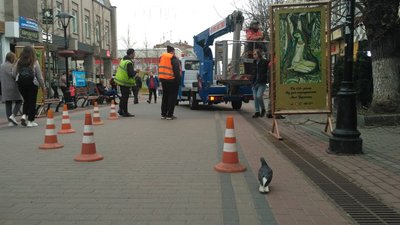 На пішохідній вулиці Луцька кронували шість дерев На пішохідній вулиці Луцька кронували шість дерев