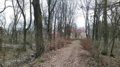 На Львівщині мешканці села хочуть відновити закинутий палац кінця XIX століття На Львівщині мешканці села хочуть відновити закинутий палац кінця XIX століття