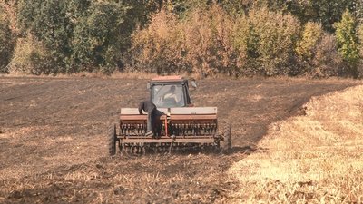 Розповіли про ситуацію з озимими на Черкащині Розповіли про ситуацію з озимими на Черкащині