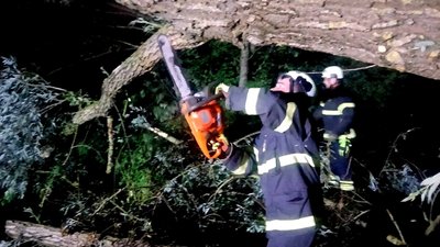 Рятувальники прибирають дерево з проїжджої частини у селі Сирники біля Луцька