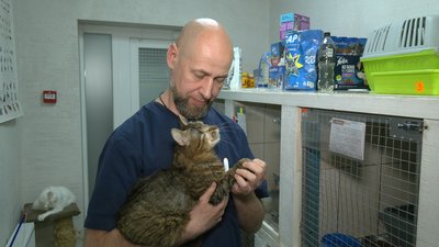 Котохаб у Черкасах Котохаб у Черкасах