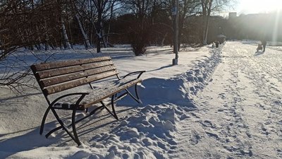 тернопіль, парк, зима, сніг, 19 січня 2026 року