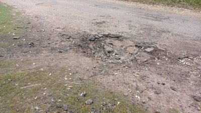 "Гусей стадо повністю розбило. Десять штук" - мешканці села Павліка на Сумщині про обстріли села "Гусей стадо повністю розбило. Десять штук" - мешканці села Павліка на Сумщині про обстріли села