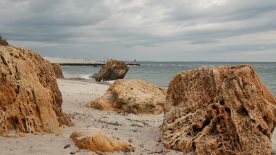 Цвітіння води, стоки та дрейфуючі міни: екологія Чорного моря очима експертів Цвітіння води, стоки та дрейфуючі міни: екологія Чорного моря очима експертів