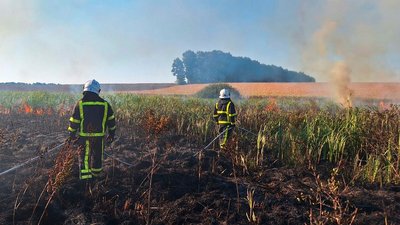 На Черкащині під час пожежі сухої рослинності отримав опіки чоловік На Черкащині під час пожежі сухої рослинності отримав опіки чоловік