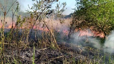 Протягом доби на Миколаївщині сталися п’ять пожеж Протягом доби на Миколаївщині сталися п’ять пожеж