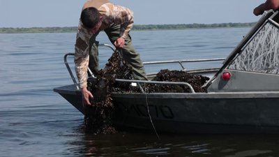 Бракон'єрські сітки передають на потреби ЗСУ. Як інспектори рибоохоронного патруля проводять рейди на Запоріжжі